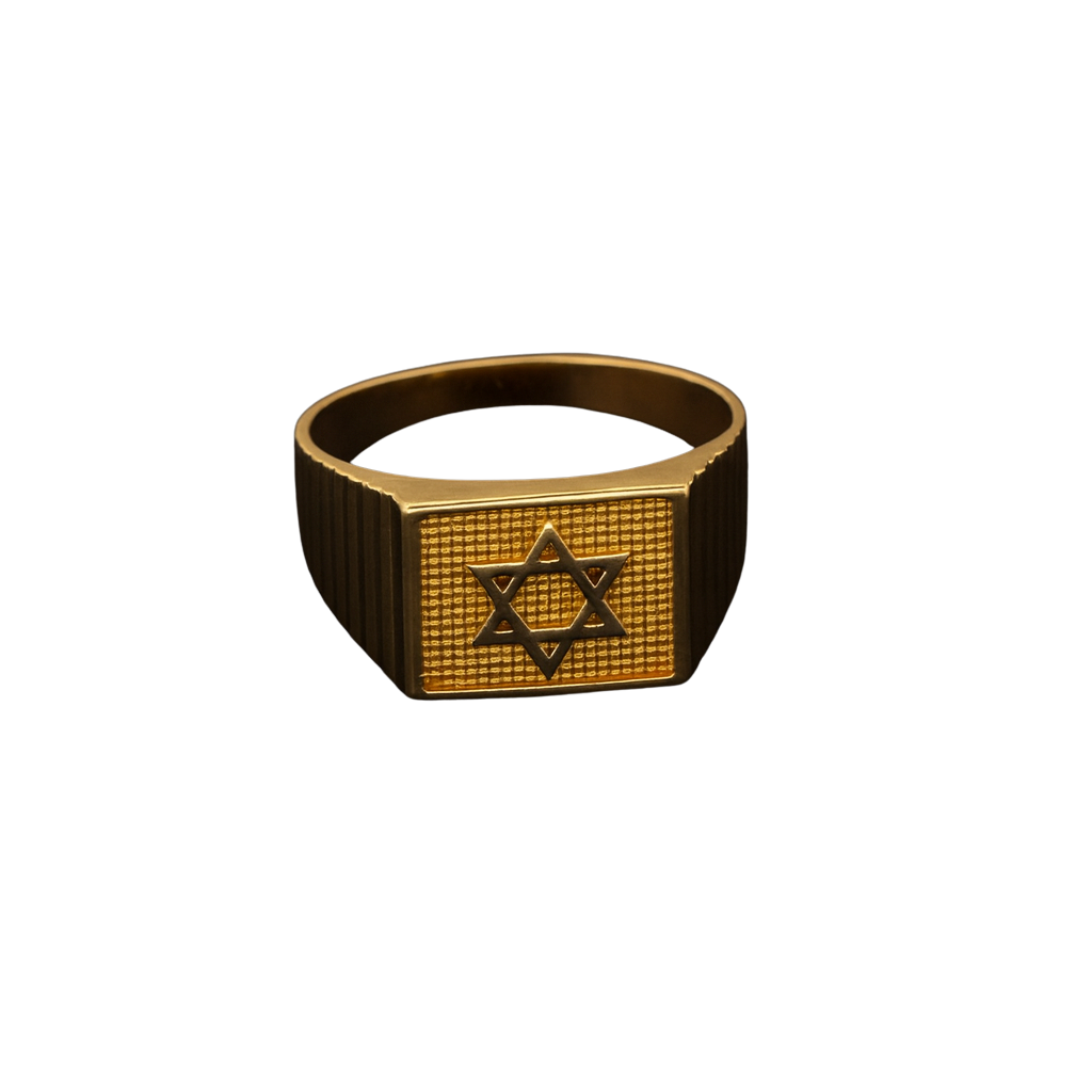 Anillo Caballero 04